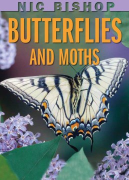 Nic Bishop Butterflies and Moths